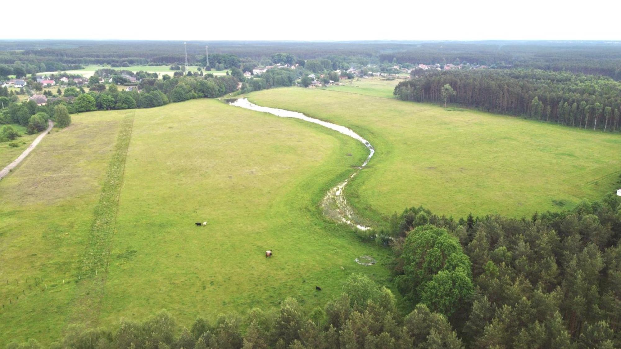 Mimi Boutique Farm Stay & Cuisine Niekursko Zewnętrze zdjęcie